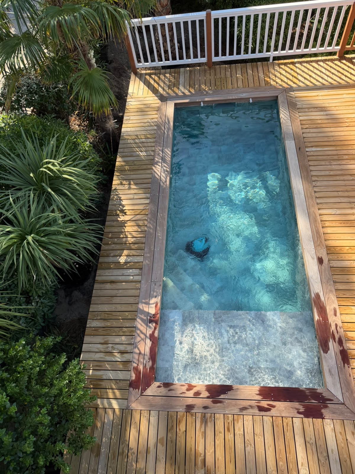 Petite piscine rectangulaire encastrée dans une terrasse en bois entourée de plantes tropicales et eau cristalline.