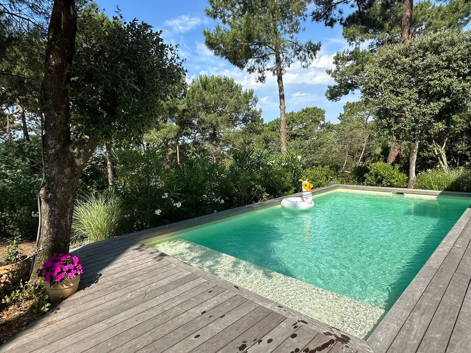 Piscine turquoise avec terrasse en bois, forêt de pins et bouée girafe dans un jardin ensoleillé et verdoyant.